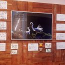 푸짐한밥상 이미지