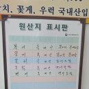 서씨네큰댁