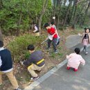 정도태권스쿨 이미지