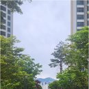 센텀탑부동산공인중개사사무소 네이버블로그