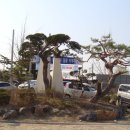 강경중학교 이미지