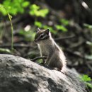 늘 좋은생각 이미지