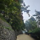 나무마당 이미지