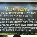 인동양꼬치