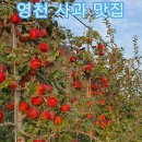 가나안 농원