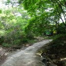 영동 백화산(白華山) 한성봉(漢城峯, 933)_명산플러스 48/100