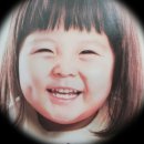 국수바라기 이미지