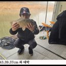 와대박 이미지