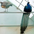 순호농장 이미지