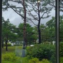 이브자리수원전시장주 | 수원시립미술관 블랑 블랙 파노라마 후기 | 무료 관람부터 주차, 사진 촬영까지