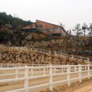 더블유홀스랜드 이미지