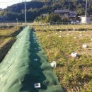 도미태양광발전소 이미지