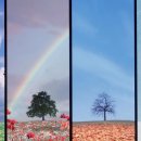 영종국제도시부동산공인중개사사무소 이미지