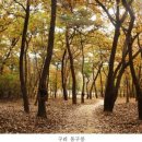 단풍시간표 나왔다..가을에 잠깐 여는 '조선왕릉 숲길' 10곳 이미지