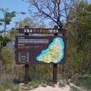 장기목장 이미지