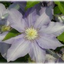 간척3리 이미지