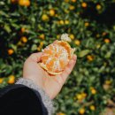 윤식농장 이미지