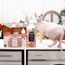 향기품은집 | 르샤트라 섬유유연제·건조기시트가 만들어준 세탁 향기 루틴