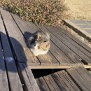 홀리데이 인 경주 이미지