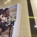 백설사 | 7월 21-22일 본업 하는 일상 글(카페 투어(??))