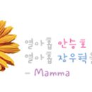 여우깍쟁이 이미지
