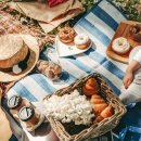 피크닉 도시락 이미지