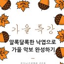 위스음악학원 이미지