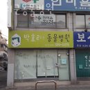 박효리군 동물병원 이미지