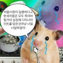 25년 02월 근황토크