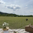 오마이샷츠 이미지