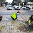 매탄1동주민센터 이미지