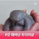 원투쓰리 이미지