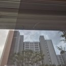 이안썬팅