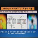 보석힐링연구소