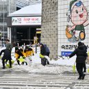 속초시청 이미지