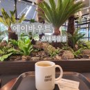 칠곡 북삼 신상카페 24시간 에이바우트커피