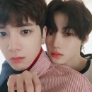 뉴마 Daum카페