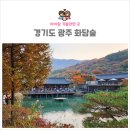 새밀알어린이집-1구간 | 아이랑 화담숲 단풍 구경 주차정보 모노레일 소요시간 등