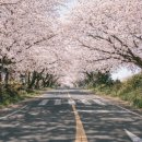 해안로1-L 이미지