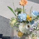 진도꽃집 이미지