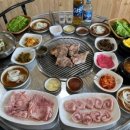탐나는돼지