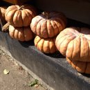 약수터 옆 이미지