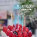델리카한스(Delica Hans)
