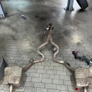 자이언트모터스 용인점 | 디스커버리5 - 징글징글한 디퍼런셜 드득드득 소음으로부터 해방