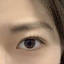 스테이브로우
