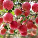 구름들천 이미지