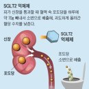 한 달 2㎏ 설탕이 몸에서 빠진다?... 요즘 뜨는 당뇨 치료제 이미지