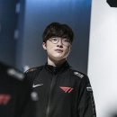 살리다 이미지