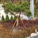 광주요양병원 이미지