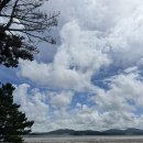 희나 | 여름 끝자락 아이 다섯과 함께한 태안여행 희나펜션 1박 후기(수영장, 갯벌체험, 대가족여행 추천)